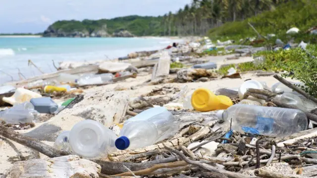 La recherche pourrait déboucher sur des enzymes capables de décomposer le plastique qui pollue notre environnement.