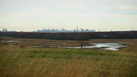 Explore the landfill turned park