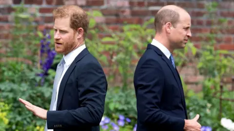 Getty Images Prince Harry, Duke of Sussex (L) and Prince William,