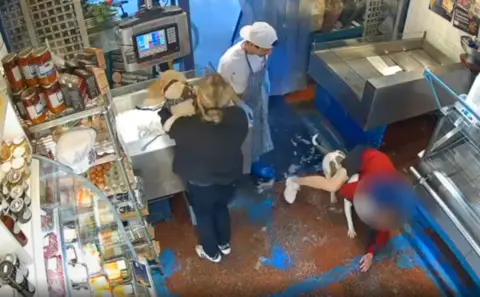 moment dog attacks cokerpoo